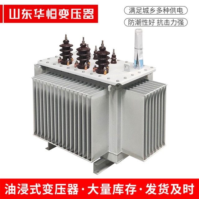 S13-10000/35双台子双台子双台子油浸式变压器厂家